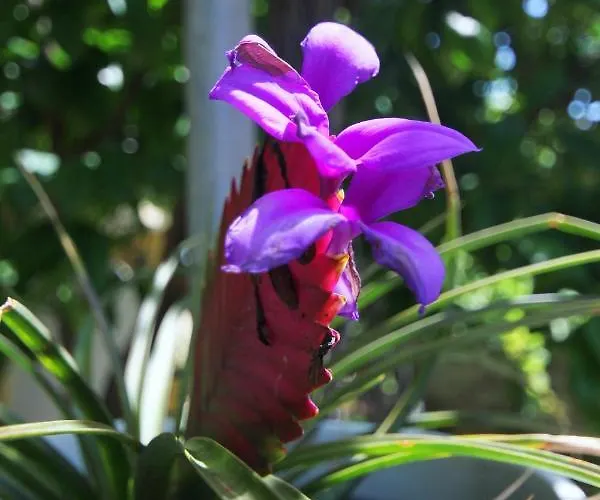 By The Sea Orebic, Peljesac - 10190 Appartement *