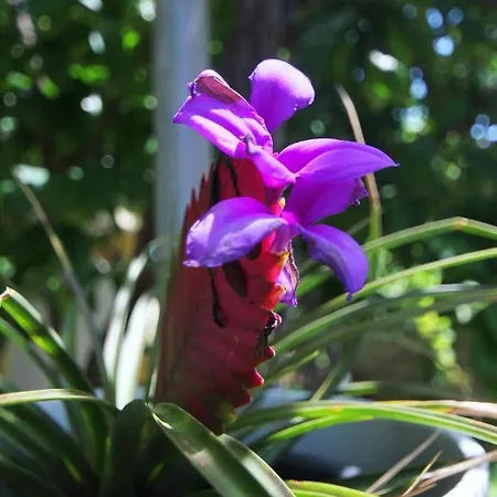 By The Sea Orebic, Peljesac - 10190 شقة *