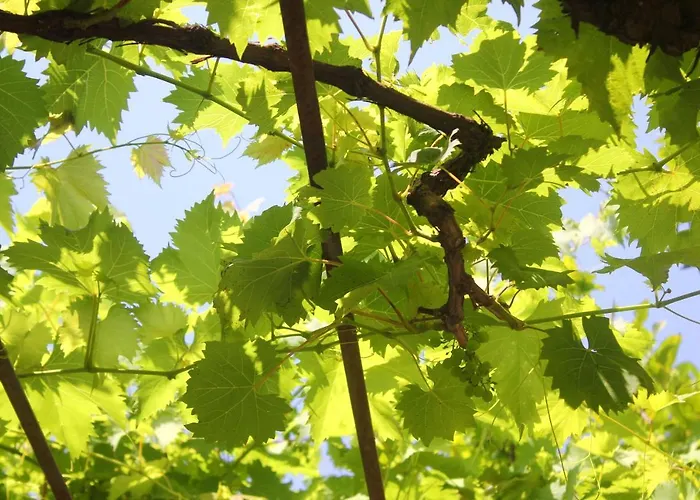 By The Sea Orebic, Peljesac - 10190 *